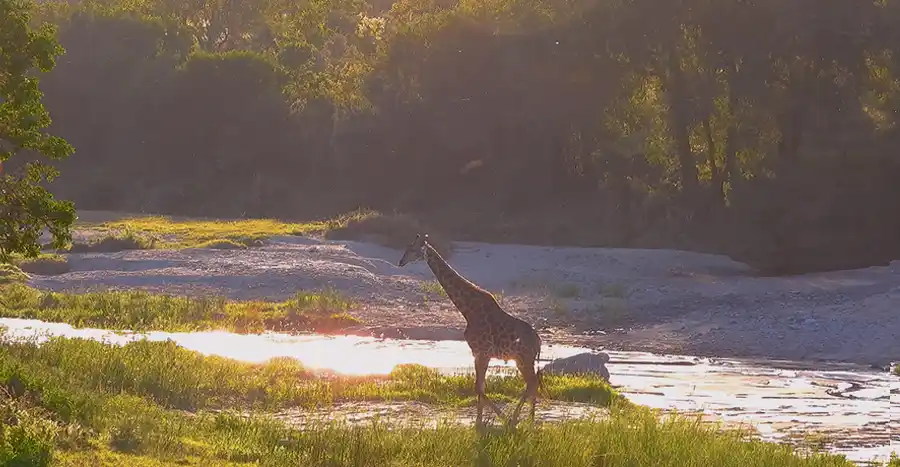 /vorschaubilder/unbekantes afrika/brand_media_start_neu_ Eswatini.webp